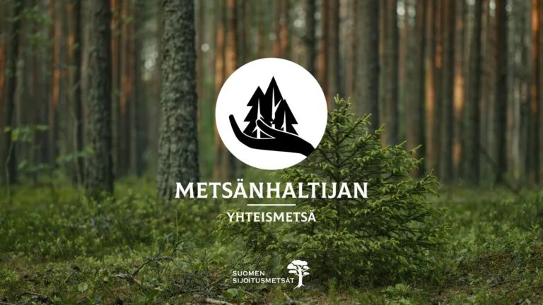Webinaari: Yhteismetsä metsän omistusjärjestelyjen vaihtoehtona