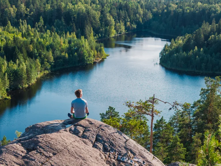 Yhteismetsät Suomessa