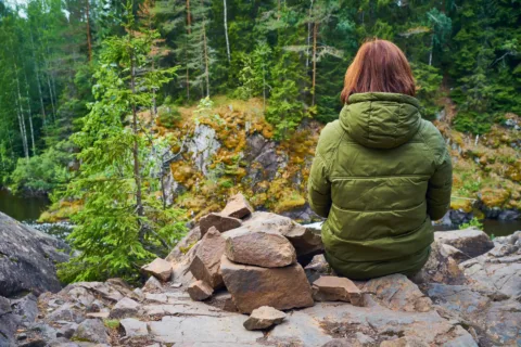 Metsänhaltija yhteismetsä