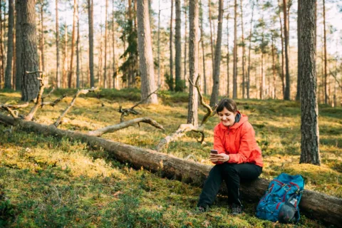 Metsän markkinahintalaskuri